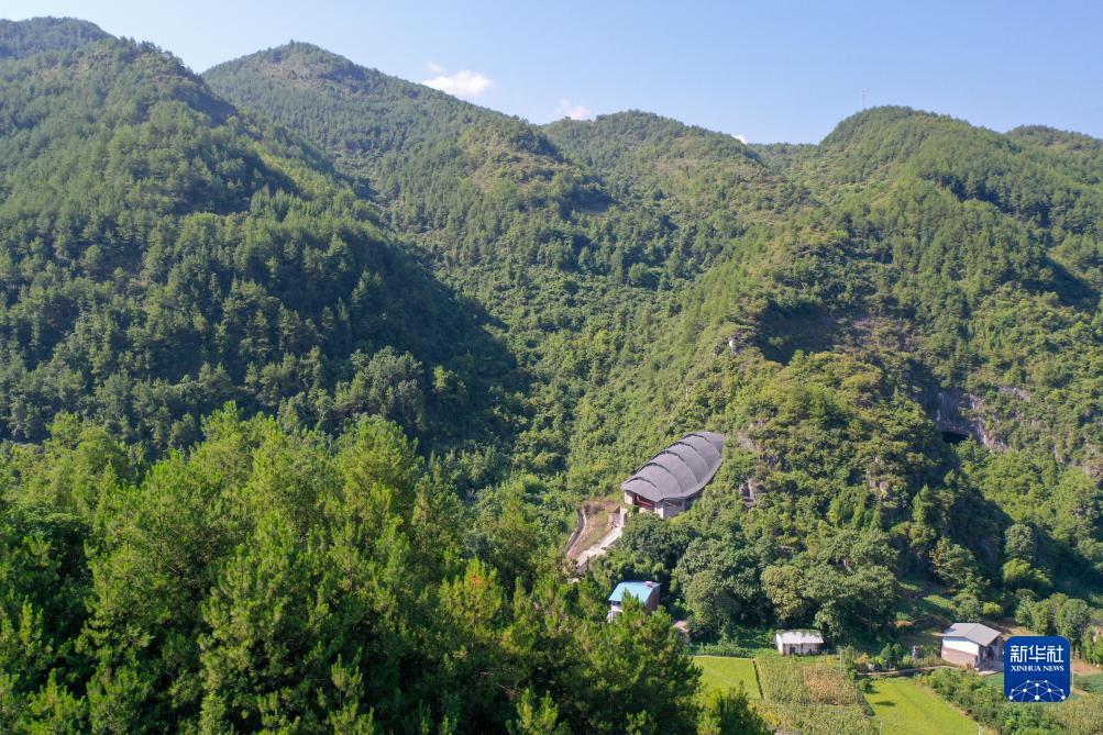 九五至尊最新登录网址